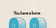 6×6 #22: You have a bone cover image