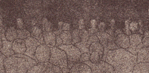Answer to an Inquiry (Special Edition) cover image