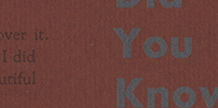 Did You Know cover image