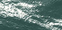 The Green Ray cover image