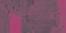 Newcomer cover image