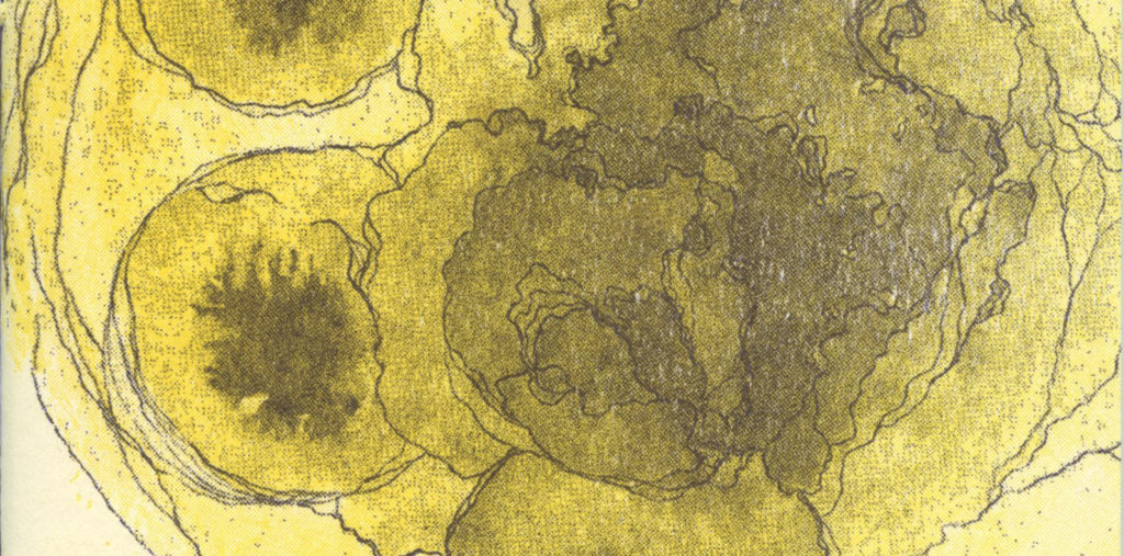 The Proscenium cover image