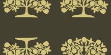 Shake Her cover image