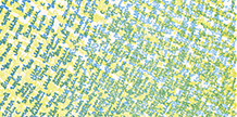 What We Saw from This Mountain cover image