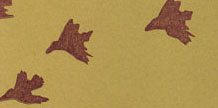 Bird & Forest cover image