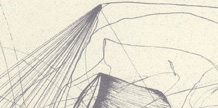 The Book of Nature cover image