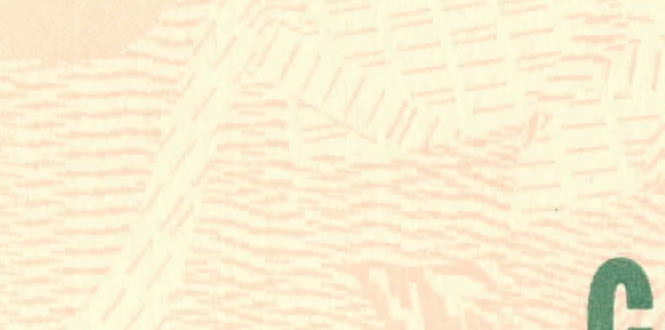Catcall cover image