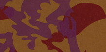 Fire Wind cover image