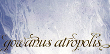 gowanus atropolis cover image
