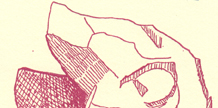 The Hermit cover image