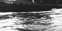 “neither wit nor gold”: Special Edition cover image