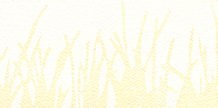 My Mother Used to Cut… cover image