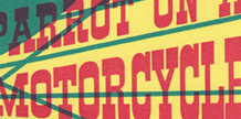 Parrot on a Motorcycle cover image