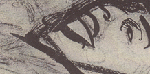 The Race Poems cover image
