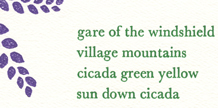 gare of the windshield cicada cover image
