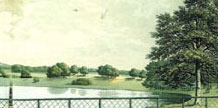 Greensward cover image
