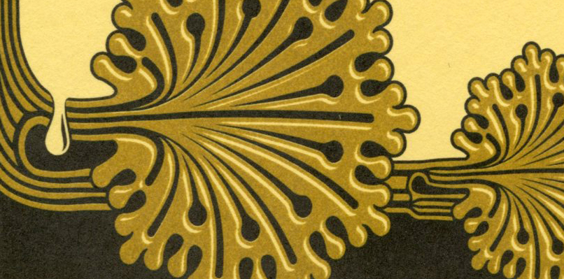Andean Nuclear Spring cover image