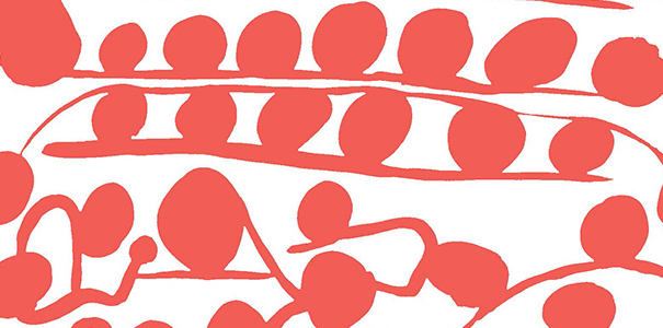 Neighbor cover image
