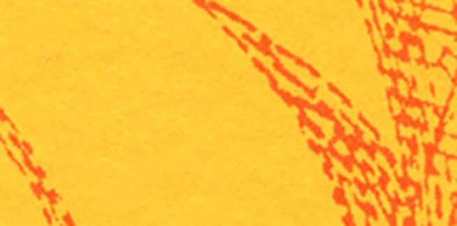 Utopia Pipe Dream Memory cover image