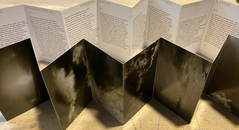 The States cover image