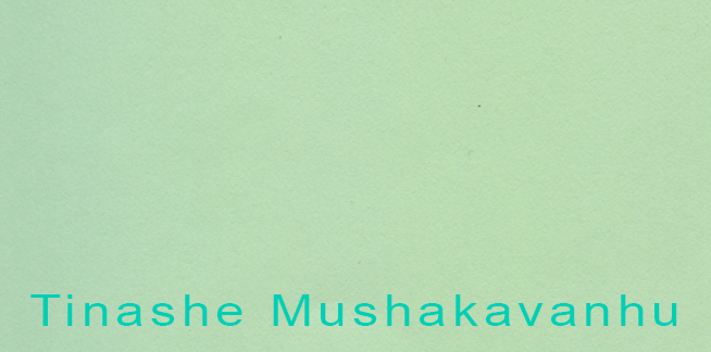 Reincarnating Marechera: Notes On A Speculative Archive cover image