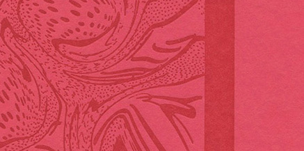 Vice-royal-ties cover image