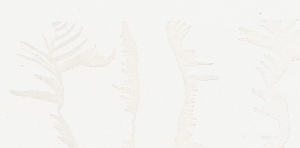 Common Amnesias cover image