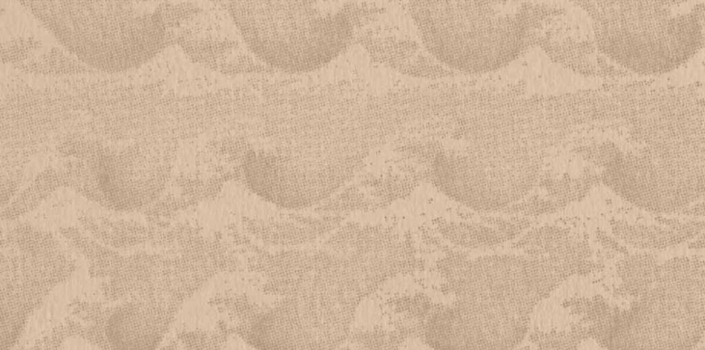 Reps cover image